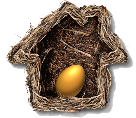 Nest egg investment property concept